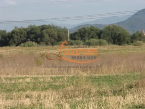 Codlea teren constructii industriale sau logistice 8 ha pana la 24 Ha