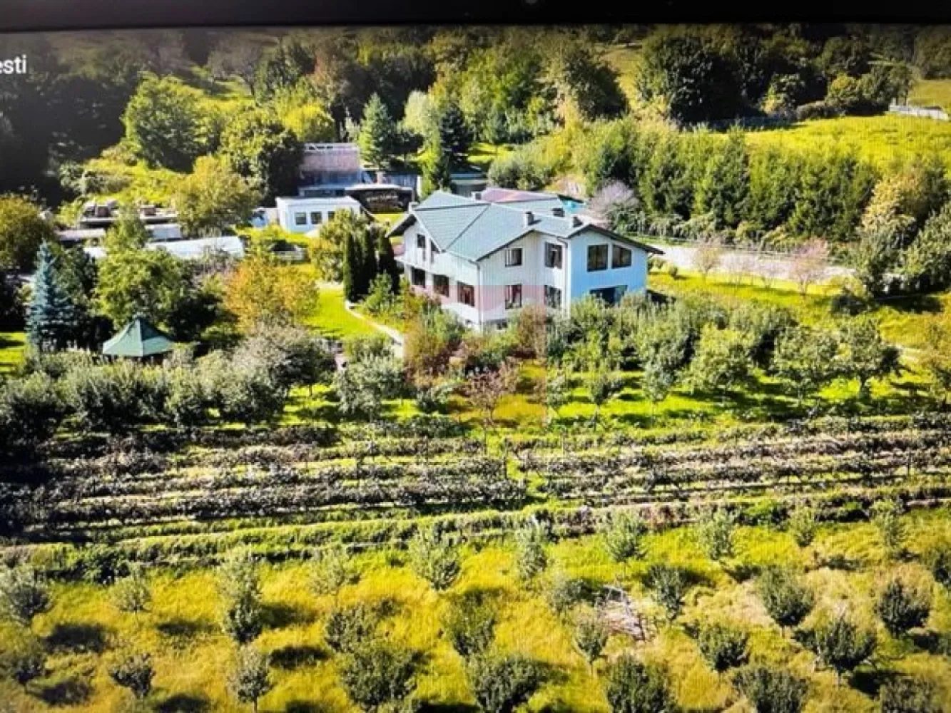 O proprietate de exceptie la Corbi, 18 ha, izvor, lac, pastravarie - Proprietatea prezentata in film se afla in comuna Corbi, jud. Arges.
Vorbim de o vila cu parter si etaj complet separate, cu gradina si anexe, pretabila ca pensiune pentru a caza 5 familii, aflata pe o suprafata de peste 18 ha.

Pe teren se afla si un izvor cu apa potabila, o livada, un lac, o pastravariecu 5 bazine si mult potential de dezvoltare pe teren plan si pe deal.
Poate deveni un conac, un domeniu auto-sustenabil, unde poti locui in liniste cu familia si eventual cu cateva ajutoare, unde poti dezvolta o mica ferma sau crescatorie sau unde poti dezvolta agroturism.

O oferta foarte tentanta, cu un pret sub valoarea de inlocuire si cu un potential nu doar pentru o viata linistita si independenta, dar si pentru o apreciere a valorii proprietatii!

Reprezentand proprietarul, colaboram cu alte agentii imobiliare pentru a identifica cel mai potrivit cumparator!