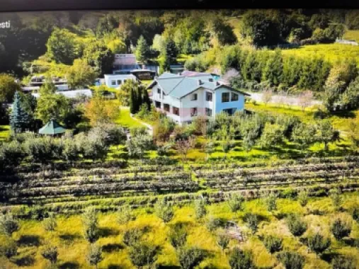 O proprietate de exceptie la Corbi, 18 ha, izvor, lac, pastravarie
