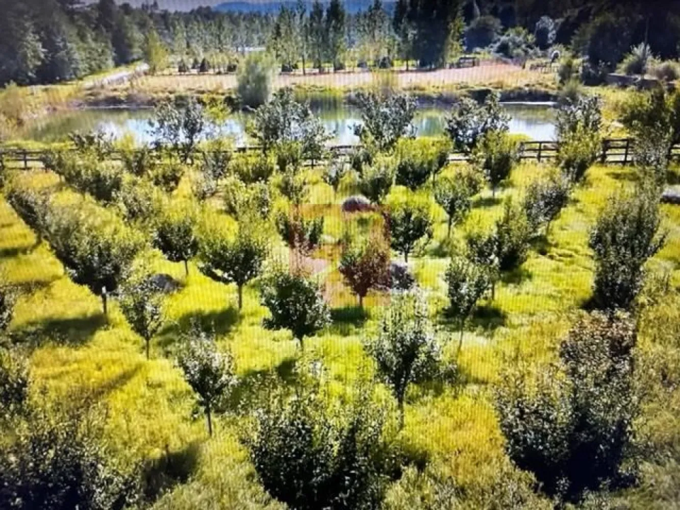 O proprietate de exceptie la Corbi, 18 ha, izvor, lac, pastravarie - Proprietatea prezentata in film se afla in comuna Corbi, jud. Arges.
Vorbim de o vila cu parter si etaj complet separate, cu gradina si anexe, pretabila ca pensiune pentru a caza 5 familii, aflata pe o suprafata de peste 18 ha.

Pe teren se afla si un izvor cu apa potabila, o livada, un lac, o pastravariecu 5 bazine si mult potential de dezvoltare pe teren plan si pe deal.
Poate deveni un conac, un domeniu auto-sustenabil, unde poti locui in liniste cu familia si eventual cu cateva ajutoare, unde poti dezvolta o mica ferma sau crescatorie sau unde poti dezvolta agroturism.

O oferta foarte tentanta, cu un pret sub valoarea de inlocuire si cu un potential nu doar pentru o viata linistita si independenta, dar si pentru o apreciere a valorii proprietatii!

Reprezentand proprietarul, colaboram cu alte agentii imobiliare pentru a identifica cel mai potrivit cumparator!