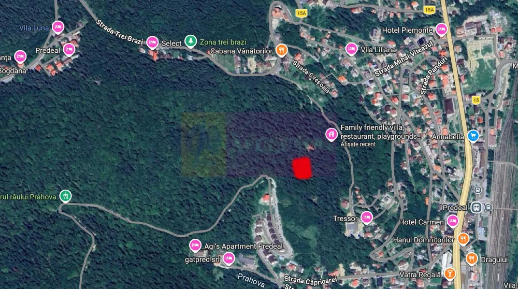 Teren de vanzare in Predeal - Teren Extravilan – 1000 mp în Predeal, zona Vlădeț

O oportunitate rară pentru investiție într-una dintre cele mai apreciate stațiuni montane din România – Predeal.

Teren extravilan cu suprafața de 1000 mp, situat în zona Vlădeț, într-un cadru natural spectaculos, în mijlocul pădurii, dar în același timp aproape de calea de acces, construcții existente și utilități.

Zona este considerată o viitoare direcție de dezvoltare, datorită poziționării excelente și interesului tot mai mare pentru proprietăți în natură, aproape de munte și aer curat.

Suprafață: 1000 mp
Amplasare în pădure
Aproape de acces și utilități
Lângă construcții existente
Potențial foarte bun de investiție
Zonă liniștită, cu peisaj montan deosebit

Preț foarte accesibil raportat la valorile terenurilor din Predeal.

Ideal pentru investiție pe termen lung, cabană de vacanță sau proiect turistic într-o zonă cu potențial ridicat de dezvoltare.

Pentru in formatii suplimentare: Agentia Imobiliara Mervani - 0729.935.536