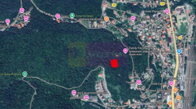 Teren de vanzare in Predeal