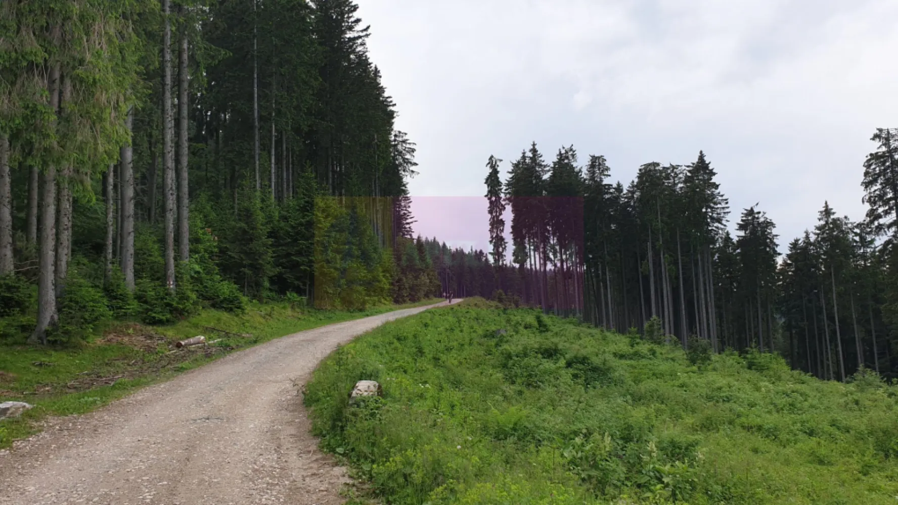 Teren de vanzare in Predeal - Teren Extravilan – 1000 mp în Predeal, zona Vlădeț

O oportunitate rară pentru investiție într-una dintre cele mai apreciate stațiuni montane din România – Predeal.

Teren extravilan cu suprafața de 1000 mp, situat în zona Vlădeț, într-un cadru natural spectaculos, în mijlocul pădurii, dar în același timp aproape de calea de acces, construcții existente și utilități.

Zona este considerată o viitoare direcție de dezvoltare, datorită poziționării excelente și interesului tot mai mare pentru proprietăți în natură, aproape de munte și aer curat.

Suprafață: 1000 mp
Amplasare în pădure
Aproape de acces și utilități
Lângă construcții existente
Potențial foarte bun de investiție
Zonă liniștită, cu peisaj montan deosebit

Preț foarte accesibil raportat la valorile terenurilor din Predeal.

Ideal pentru investiție pe termen lung, cabană de vacanță sau proiect turistic într-o zonă cu potențial ridicat de dezvoltare.

Pentru in formatii suplimentare: Agentia Imobiliara Mervani - 0729.935.536