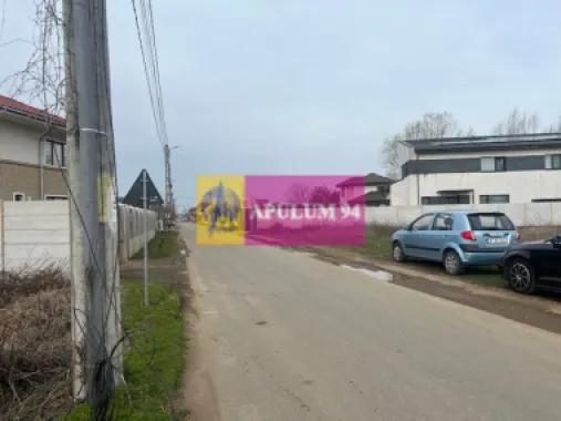 Teren Domnesti- Drumul Targului.