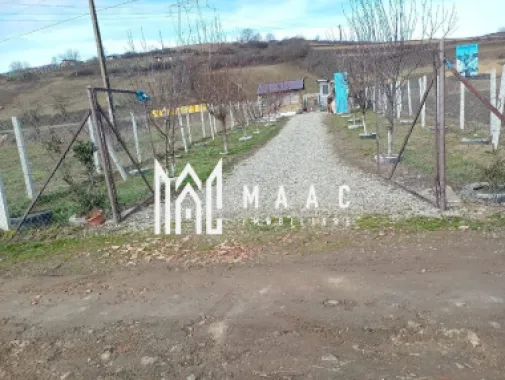 Logo MAAC IMOBILIARE logo