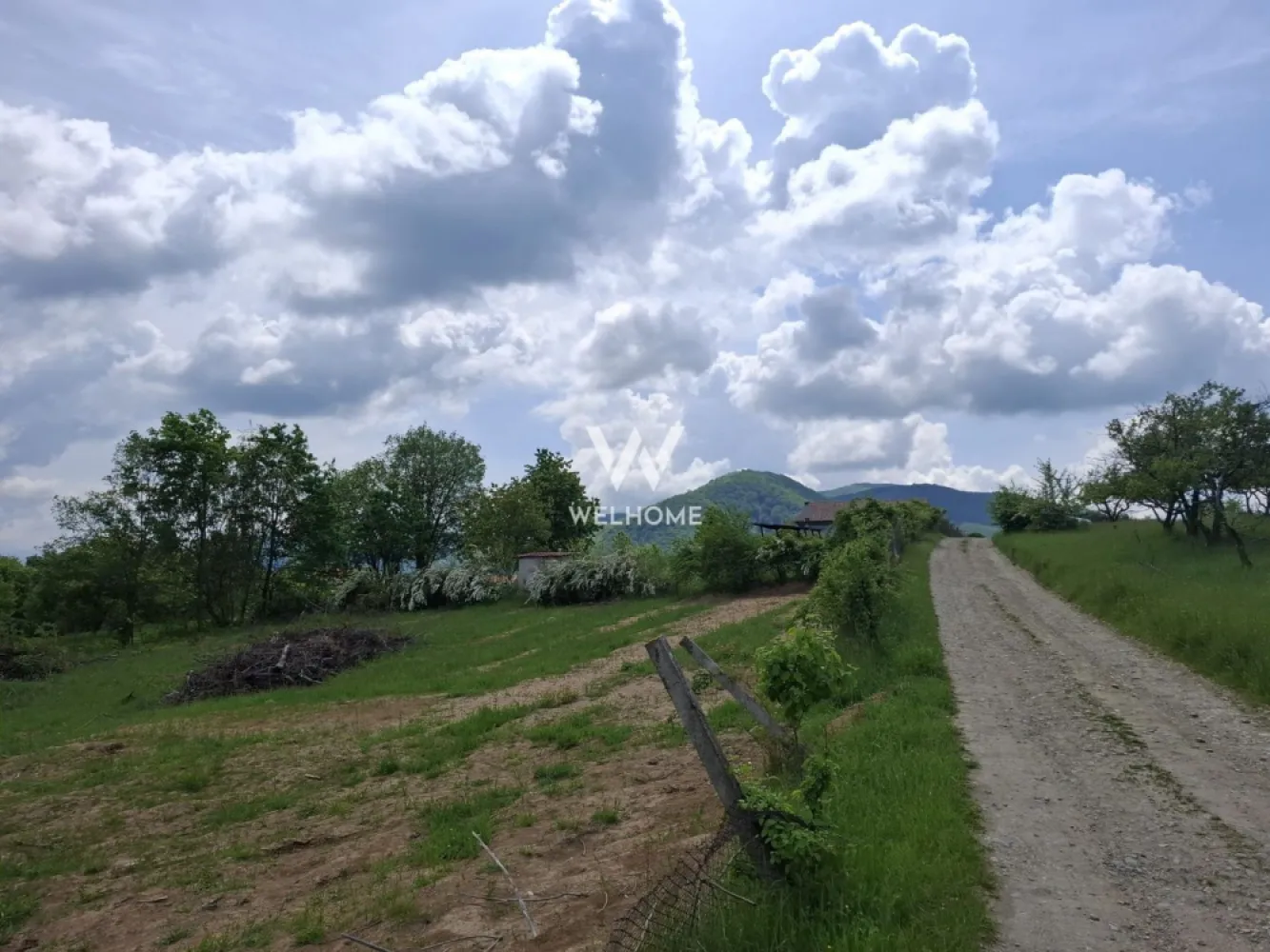 Teren intravilan, 1000 mp, Cisnadioara - Sibiu - Va propunem spre vanzare un teren intravilan situat in Cisnadioara, zona Apfelhouse

- Suprafata 1000 mp 
- Deschidere la strada 35 m
- Utilitati pe strada: apa, gaz, canal, curent - extindere conducte existente cam 50 m.
- Necesita intocmire PUZ. Se pot construi locuinte unifamiliale (CUT 0.9), 
- POT: 25%

Pret: 89000 euro negociabil.