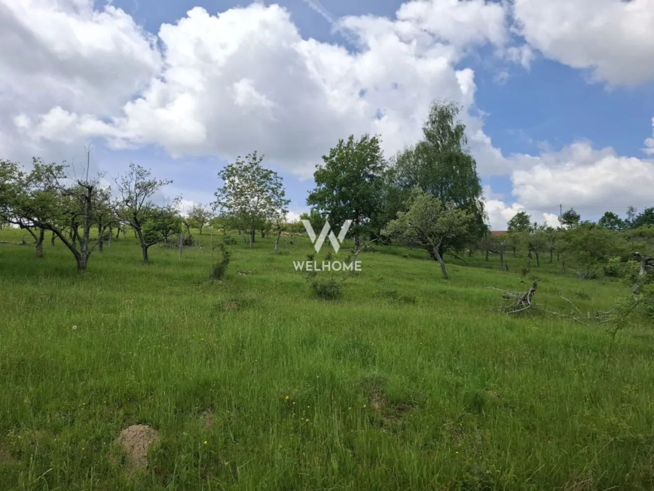 Teren intravilan, 1000 mp, Cisnadioara - Sibiu - Va propunem spre vanzare un teren intravilan situat in Cisnadioara, zona Apfelhouse

- Suprafata 1000 mp 
- Deschidere la strada 35 m
- Utilitati pe strada: apa, gaz, canal, curent - extindere conducte existente cam 50 m.
- Necesita intocmire PUZ. Se pot construi locuinte unifamiliale (CUT 0.9), 
- POT: 25%

Pret: 89000 euro negociabil.
