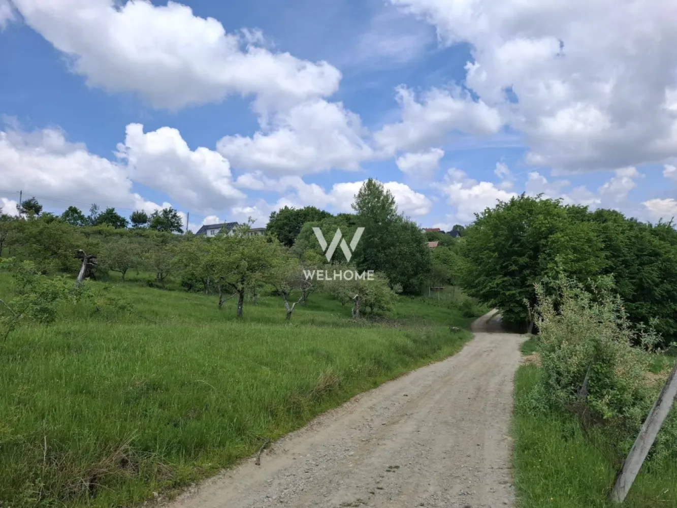 Teren intravilan, 1000 mp, Cisnadioara - Sibiu - Va propunem spre vanzare un teren intravilan situat in Cisnadioara, zona Apfelhouse

- Suprafata 1000 mp 
- Deschidere la strada 35 m
- Utilitati pe strada: apa, gaz, canal, curent - extindere conducte existente cam 50 m.
- Necesita intocmire PUZ. Se pot construi locuinte unifamiliale (CUT 0.9), 
- POT: 25%

Pret: 89000 euro negociabil.