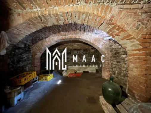 Casa rustica I 2corpuri I 1460mp teren I Porumbacu de jos
