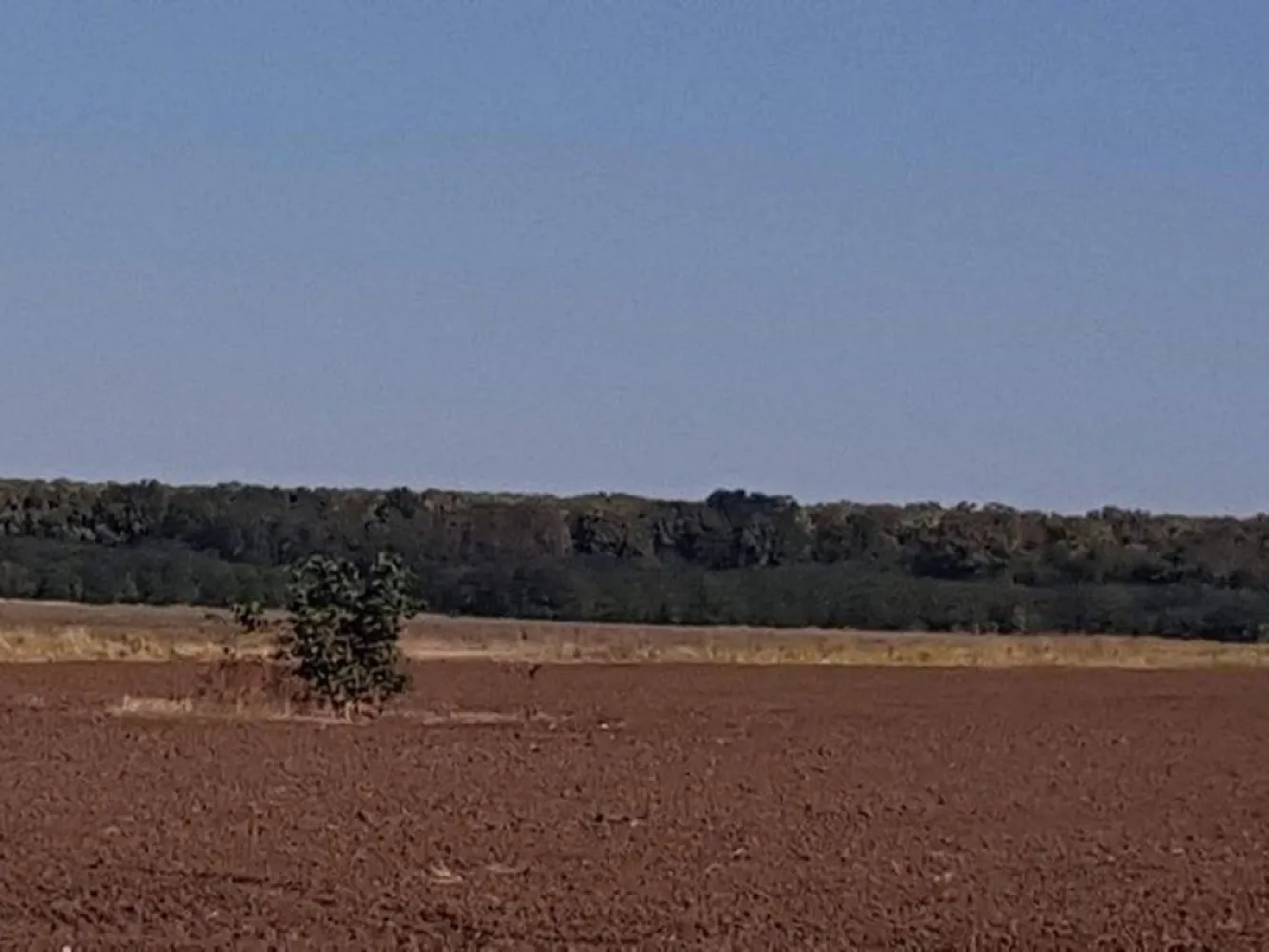 Branesti teren intravilan 30700 mp - K Imobiliare propune in zona Branesti intrare Islaz , teren intravilan suprafata 30700 mp , stradal pe DN3 , deschidere dubla 60 ml , urbanism POT 50% H -P+4, ,utilitati .