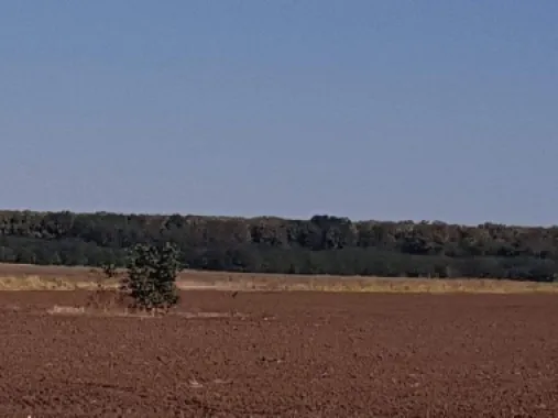 Branesti teren intravilan 30700 mp