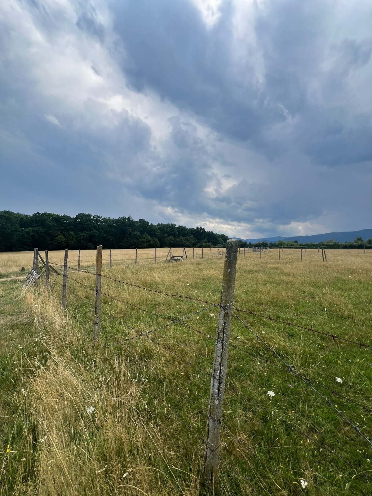 Teren extravilan Cisnadie, Str. Selimbarului – 2.380 mp
