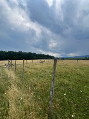 Logo PASCALE IMOBILIARE logo