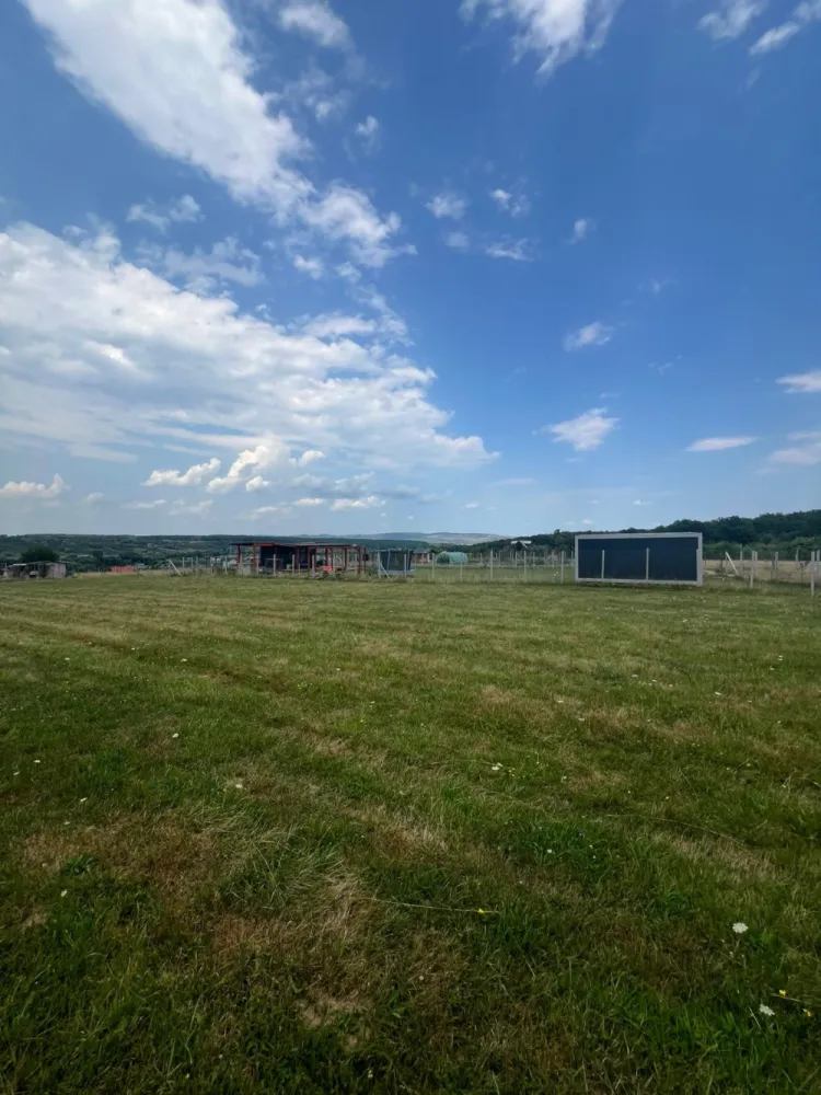 Teren extravilan Cisnadie, Str. Selimbarului – 2.380 mp - Descopera un teren deosebit, situate intr-o zona linistita si aproape de natura, langa padure, ideal pentru investitii pe termen lung sau pentru viitoare proiecte de dezvoltare.&nbsp;Detalii principale:Suprafata: 2.380 mpDeschidere la 2 drumuri ( 25 ml la unul dintre ele)Acces facil din Cisnadie si SelimbarZona linistita, cu aer curat si priveliste superbaPret: 40 euro/mp Comision 0% pentru comparator! }}