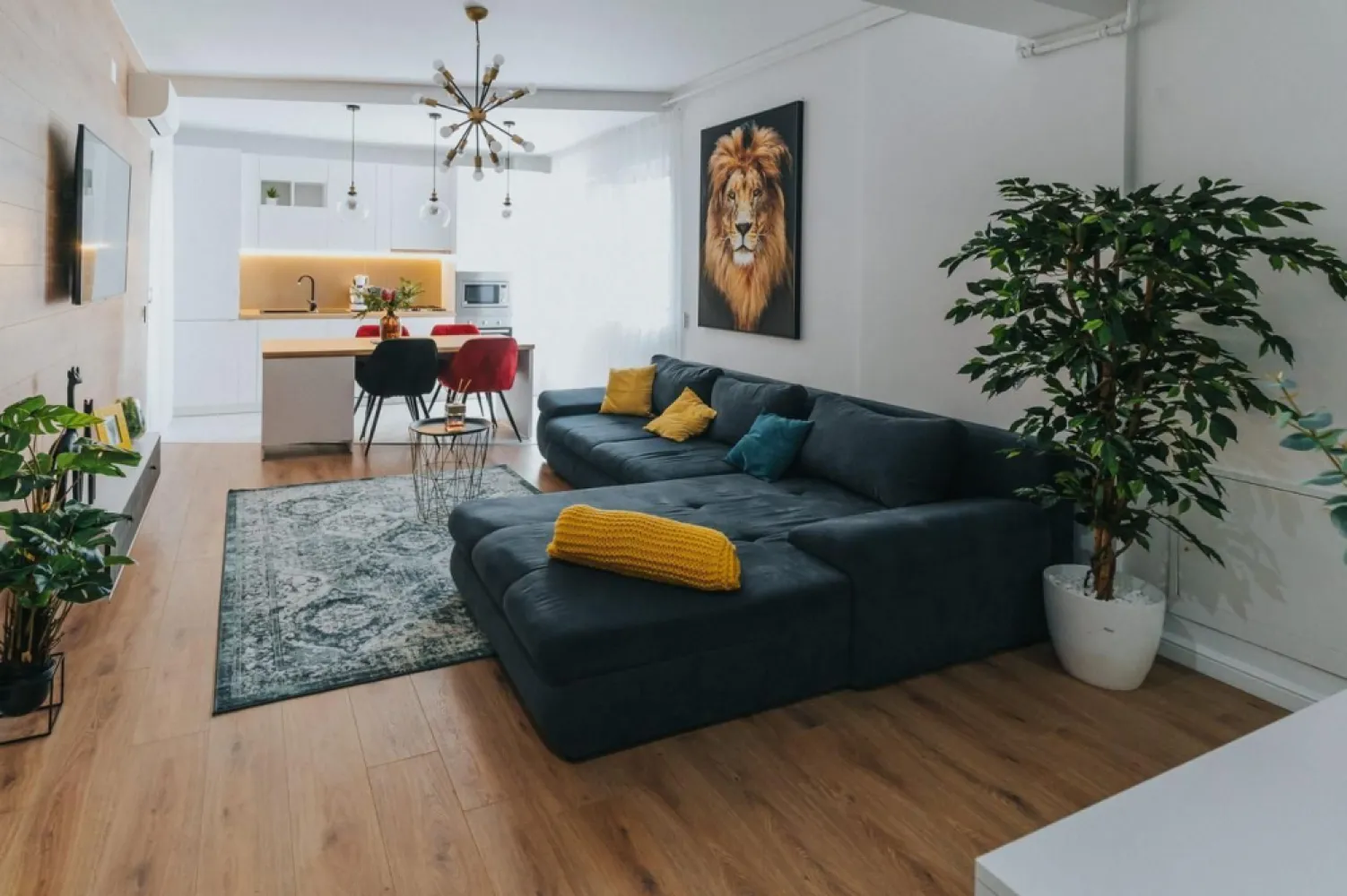 3 camere, ultracentral, Oradea. 750 Euro/lună + TVA (neg). Comision 0 - De închiriat: apartament 3 camere, ultracentral, Oradea. 750 Euro/lună + TVA, negociabil. Comision 0.
Disponibil din 6.01.2025.

Apartamentul este compus din 3 camere și balcon, situat într-un bloc nou.

Este complet finisat și utilat, cu încălzire în pardoseală asigurată de centrală individuală pe gaz, climatizare Daikin, rolete electrice din aluminiu, electrocasnice și alarmă antiefracție. Imobilul dispune de lift.

Există posibilitatea de închiriere a unui loc de parcare și a unei boxe de depozitare.

Contact: 0751 254 234 - Flavius Bunoiu