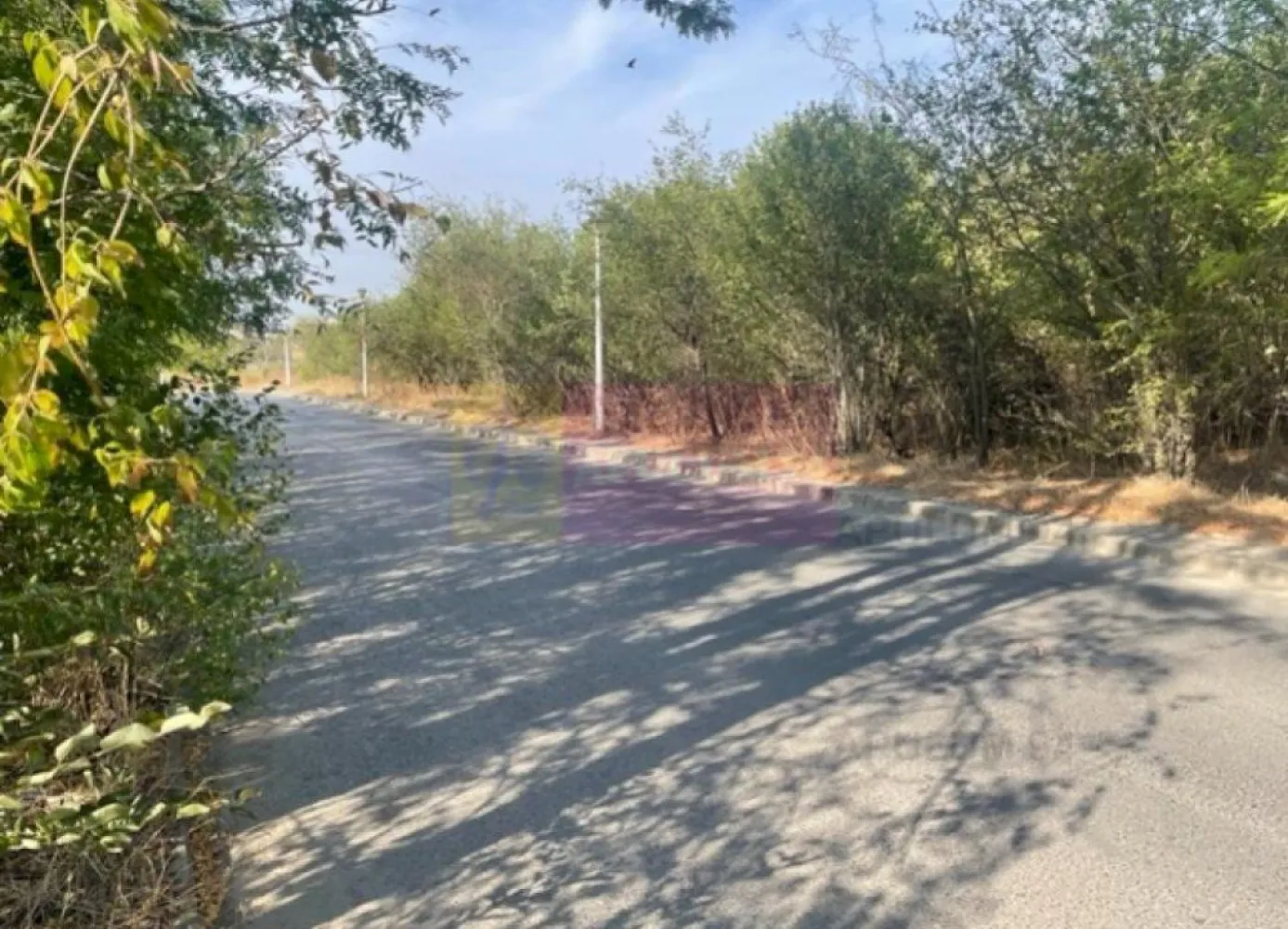 Teren Prelungirea Ghencea- Dr Ghindari. - Compania imobiliara Apulum 94 va propune un teren situat in zona Prelungirea- Ghencea, Drumul Ghindari, Sectorul 5.
Terenul are o suprafata totala de 5031 mp, cu o deschidere stradala de 61 ml. 
In fata terenului, pe strada trec toate utilitatile- apa, canal, gaze, curent.
Exista certificat de urbanism pentru informare care incadreaza terenul in regim de inaltime P+2; POT= 45%; CUT= 1,3.
Pentru vizionare si mai multe detalii nu ezitati sa ma contactati pe nr 0733.683.446- Laura Ionescu.