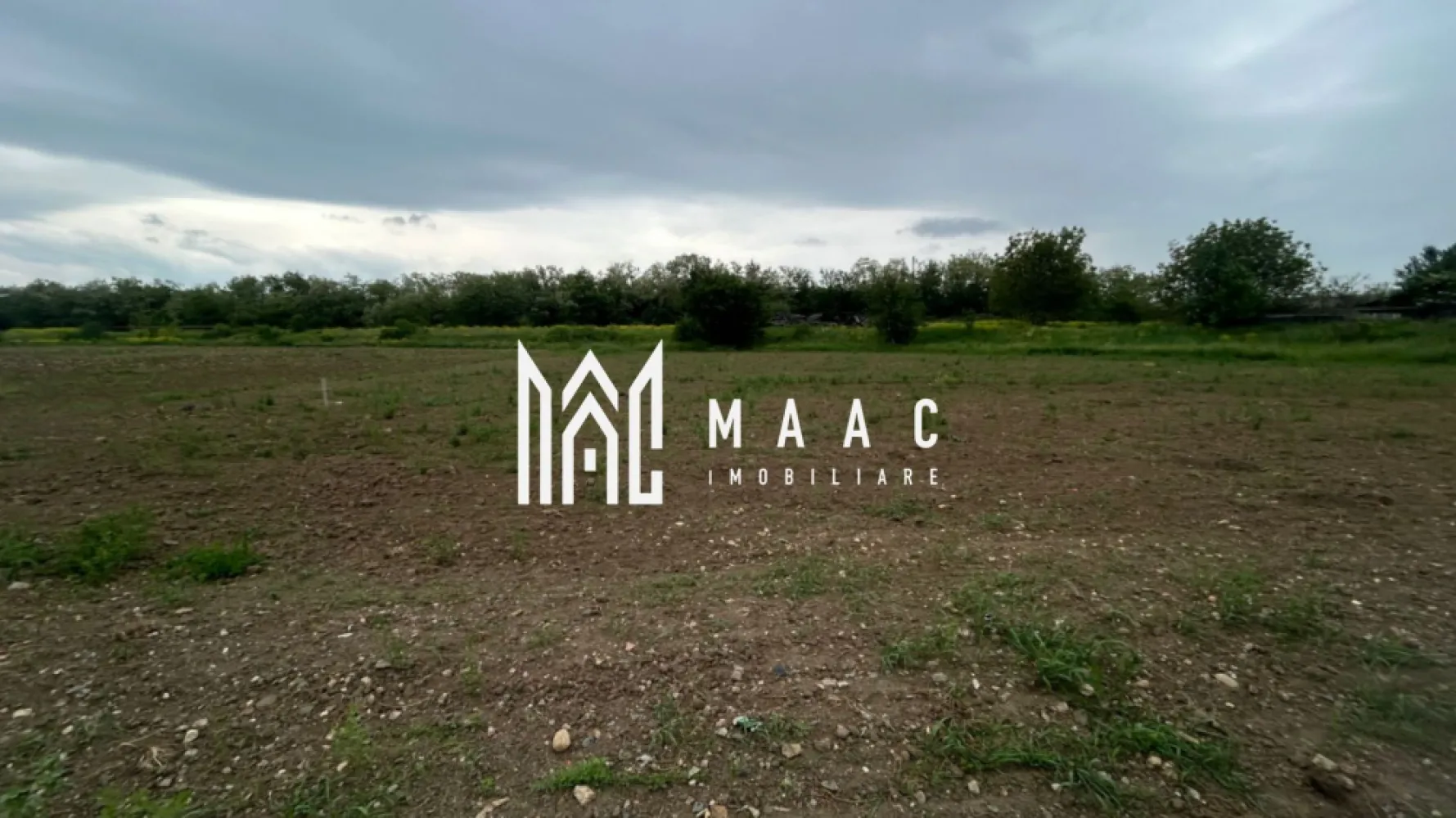 Teren Șelimbăr | 4517Mp | Intravilan - MAAC Imobiliare vă prezintă o oportunitate de investiție cu potențial major în Șelimbăr – teren pentru dezvoltare rezidențială, într-una dintre cele mai active zone imobiliare din apropierea Sibiului.

Cu o suprafață totală de 4.517 mp, această proprietate reprezintă alegerea ideală pentru dezvoltatori care urmăresc un proiect eficient, bine dimensionat și adaptat cererii actuale din piață.

Parametri urbanistici:

Suprafață teren: 4.517 mp
Regim de înălțime: P + E + ER/M
POT: 35%
CUT: 0,8
Posibilitate de construire: locuințe individuale înșiruite sau cuplate

Terenul oferă premise excelente pentru dezvoltarea unui ansamblu rezidențial modern, cu arhitectură contemporană și funcționalitate ridicată, într-o zonă aflată în plină expansiune.

Șelimbăr continuă să fie unul dintre cei mai puternici poli de dezvoltare rezidențială ai zonei metropolitane Sibiu, iar cererea constantă pentru locuințe noi transformă această proprietate într-o investiție cu perspectivă solidă și valoare pe termen lung.

Avantajele acestei proprietăți nu se rezumă doar la indicatorii urbanistici favorabili, ci și la posibilitatea de a crea un proiect rezidențial adaptat stilului de viață actual: intimitate, eficiență, compartimentări inteligente și acces rapid către oraș.

Acest teren nu este doar o parcelă disponibilă pentru construire. Este fundația unui viitor proiect profitabil.

Pentru dezvoltatorii care caută locația potrivită, suprafața potrivită și parametrii urbanistici care permit valorificarea eficientă a investiției, această proprietate merită toată atenția.

MAAC Imobiliare – transformăm oportunitățile în proiecte de succes.

Pentru mai multe detalii sau pentru stabilirea unei vizionări, vă rugăm să ne contactați specificând ID:CP3106617