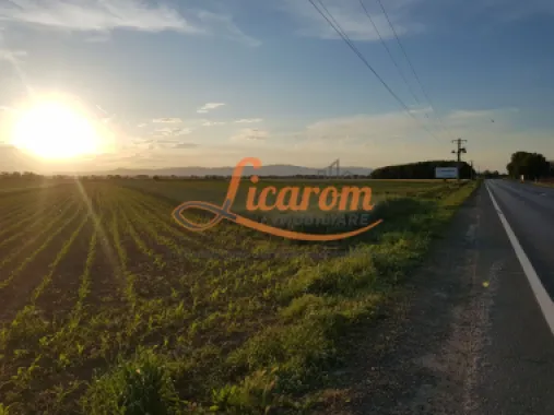 Logo Licarom Imobiliare logo