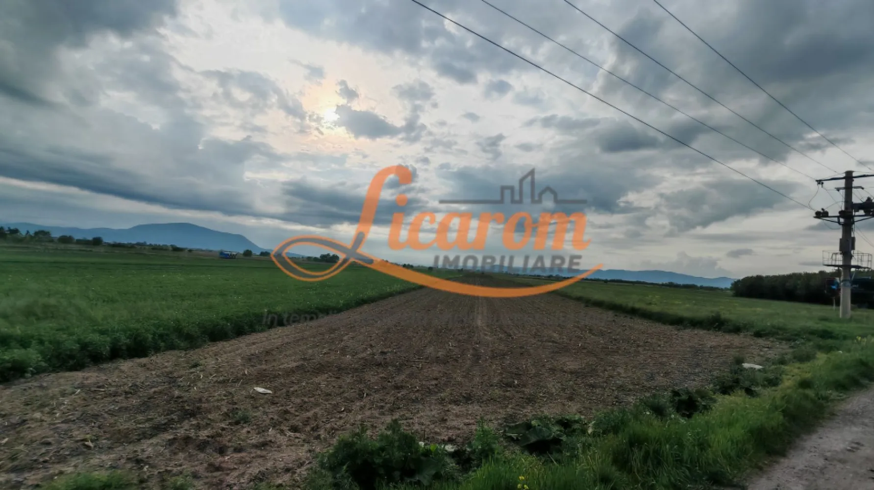 Teren Stupini Calea Feldioarei 11800 mp,25 euro/mp, front asfalt-DN13