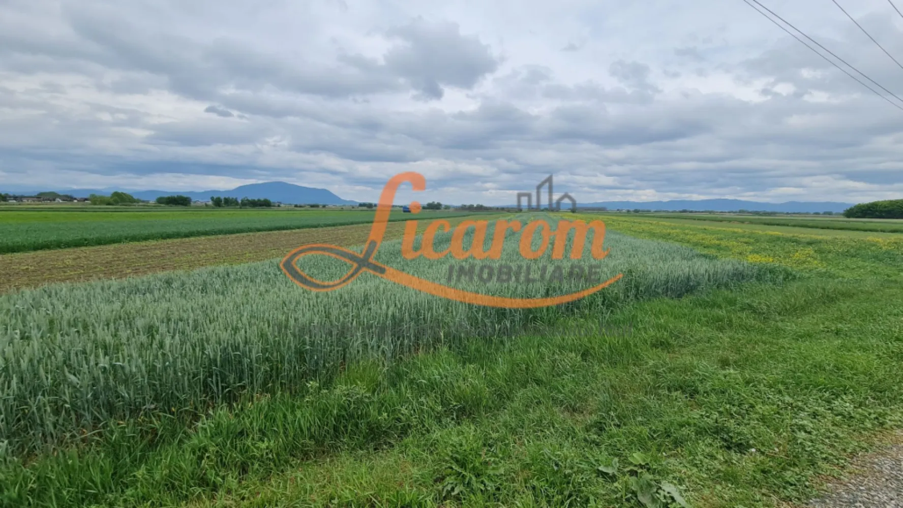 Teren Stupini Calea Feldioarei 11800 mp,25 euro/mp, front asfalt-DN13