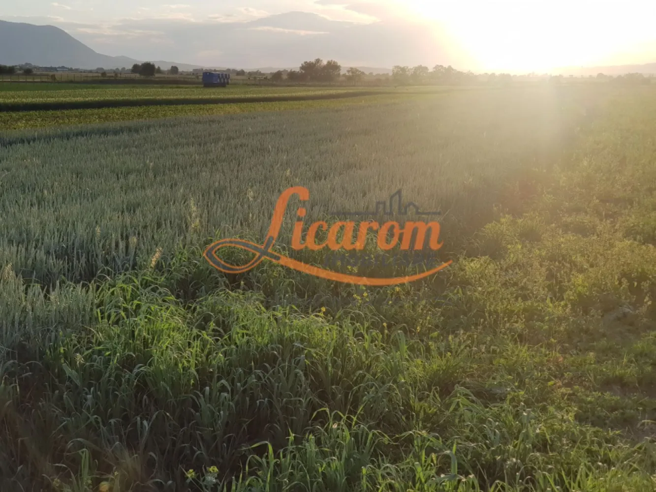 Teren Stupini Calea Feldioarei 11800 mp,25 euro/mp, front asfalt-DN13