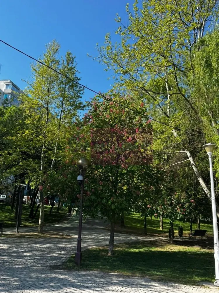 Apartament 3 camere, la parc IOR