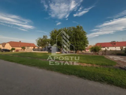 Logo Apostu Estate logo