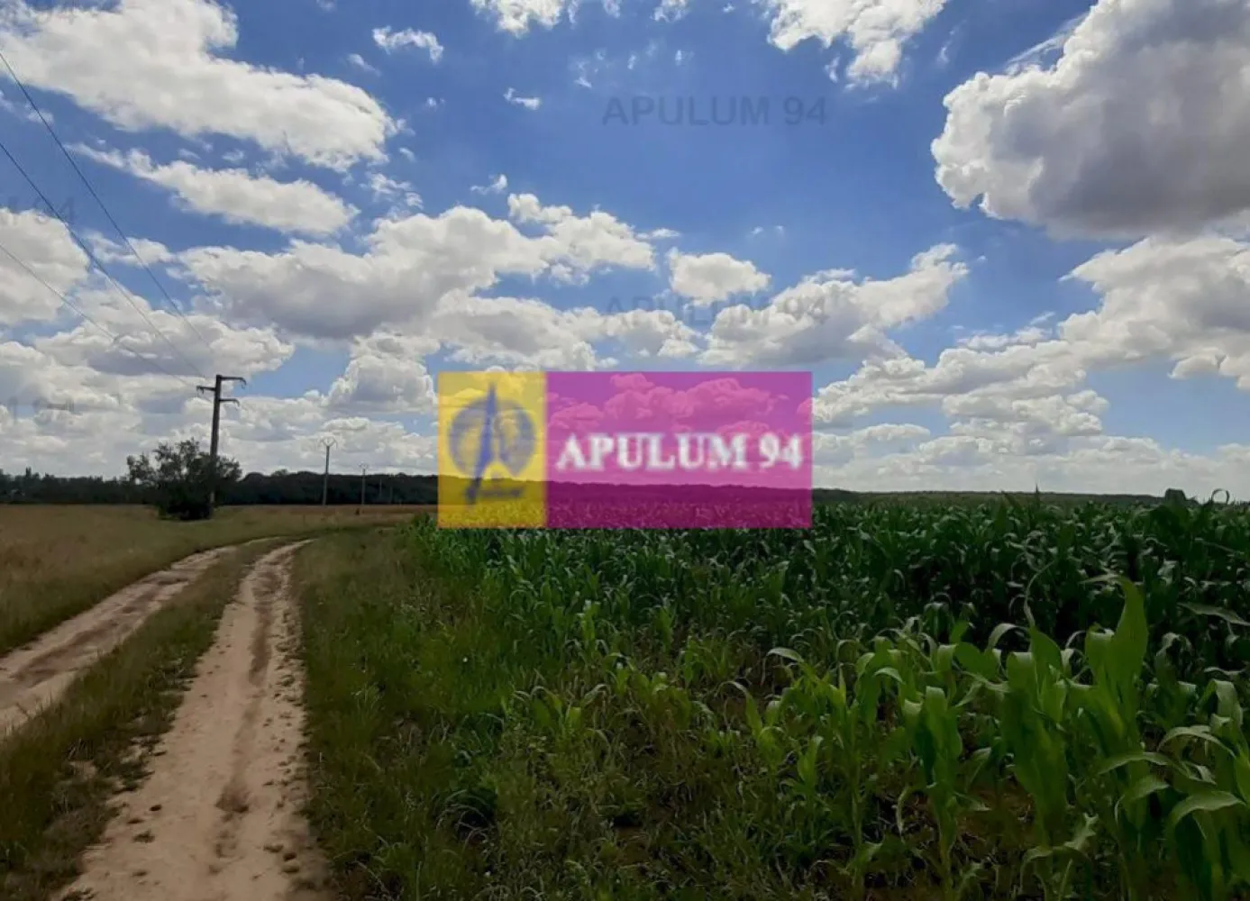 Teren 715mp în Snagov lângă Equestria - Vă propun spre cumpărare un teren de 715mp situat la 200ml de Centrul de Hipism Equestria cu acces facil spre Clubul de Golf, Therme București, Snagov Plaza și Zona Comercială DN1ValueCenter (Carrefour, Hornbach, McDonalds, Altex, Jysk, Pepco, C&A, Animax și alte magazine) de la intrare în Corbeanca. Terenul este situat între Pădurea Vlăsia și Centrul de Hipism cu acces facil din DN1, practic la 3-400ml de DN1 cum ieșim din Săftica pe partea dreaptă. Zona nu este dezvoltată în acest moment, nu avem contrucții în apropiere, ca și utilități avem curentul electric la 30-34 de metri de teren dar nu avem punct de transformare iar drumul de acces este de pământ pe alocuri piertuit și accesibil și cu mașină normală. Este un teren ideal pentru cei care își pot construi o casă offgrid, pentru a petrece weekend-ul cu familia și prietenii aproape de București și mai ales ca și investiție deoarece avem mai mulți poli de atracție la mică distanță și acum tronsonul A0 este dat în funcțiune deci de aici putem ajunge mai ușor oriunde. Pentru mai multe detalii și programarea de vizionări nu ezitați să mă conatactați, Daniel, Apulum94. Facilităm și achiziționarea prin credit ipotecar prin intermediul partenerilor, agenția imobiliară percepe un comision de 3% din prețul de tranzacționare și la vizionare se semnează contract de prestări servicii.