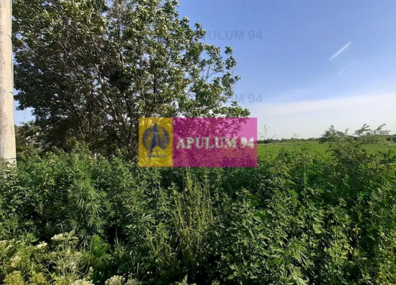 Teren cu utilități pentru dezvoltare proiect - Vă propun spre cumpărare un teren de 5000 mp situat la 15-20 minute de capitală, în localitatea Copăceni din Ilfov. Terenul este situat la intrarea în localitate și beneficiază de toate caracteristicile necesare pentru a dezvolta un proiect de succes. Terenul este cu front stradal la strada Macului, acces din strada Plopilor, prima strada la stânga cum intrăm îm localitatea Copăceni. Avem curent electric, apă curentă, canalizare și gaz. Avem toate utilitățile prezente și este necesar doar branșamentul, terenul este pe persoană fizică deci tranzacția nu presupune TVA, prețul este foarte bun în raport cu ceea ce oferim, proximitate față de oraș, Acces facil la A0 (autostrada care înconjoară Bucureștiul este la 5 minute de teren), la mijloace de transport, centre comerciale, școli, grădinițe. Zona prezintă potențial, accesul în localitate este destul de ușor. Pentru mai multe detalii și programarea de vizionări nu ezitați să mă contactați, Daniel, Apulum94. Facilităm și achiziționarea prin credit ipotecar prin intermediul partenerilor, agenția imobiliară percepe un comision de 3% din prețul de tranzacționare și la vizionare se semnează contract de prestări servicii.