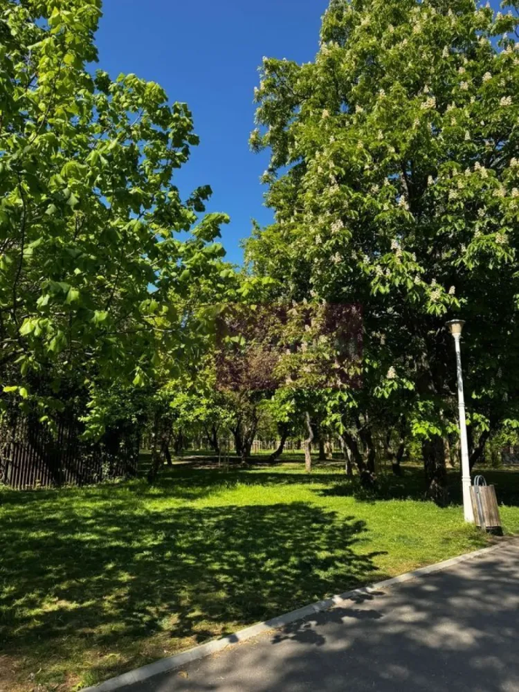 Apartament 3 camere, la parc IOR