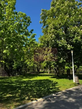 Apartament 3 camere, la parc IOR