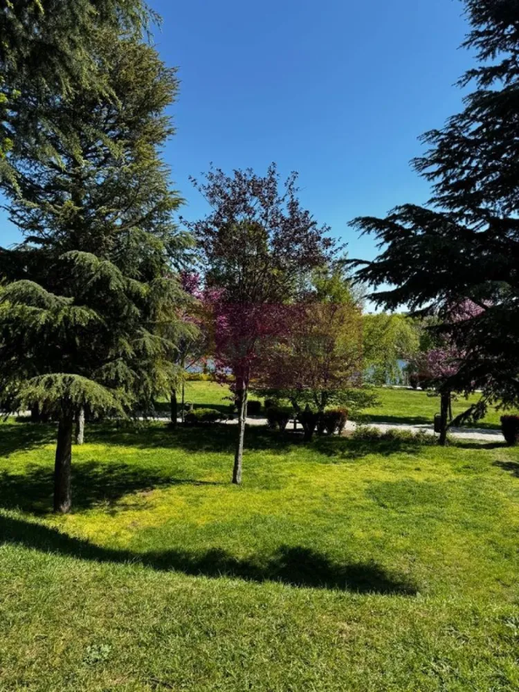 Apartament 3 camere, la parc IOR