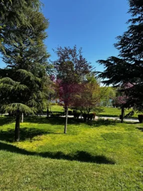 Apartament 3 camere, la parc IOR