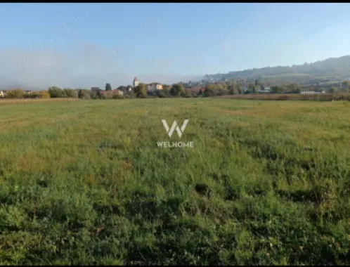 Logo Welhome Imobiliare logo