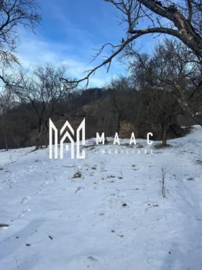 Teren de vânzare, 7750 mp I Orientare sudică I Caineni