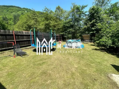 Casă de vacanță I Râu Sadului I Ieșire la râu