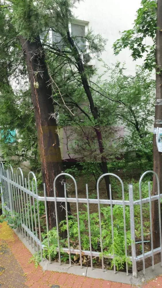 Garsoniera in zona Policlinica Titan-Nicolae Grigorescu - Agentia Imobiliara Apulum, va ofera spre vanzare
Garsoniera intr-o zona verde a Bucurestului, langa Policlinica Titan, pe strada Prisaca Dornei
Locuinta se afla la etajul 3 din 10 intr un bloc din 1967, reabilitat termic, geamuri tripan, cu vedere spre zona verde
Aceasta a fost renovata recent cu instalatia sanitara si electrica, inlocuite.
Se vinde mobilata cu dresing, pat cu saltea cu memorie Relaxa si electrocasnice Electrolux, aproape noi
Obiectele sanitare sunt marca Roca iar usile marca Portadors
Zona este bine conectata la mijloacele de transport, distanta pana la metroul Nicolae Grigorescu sau Titan se parcurge pe jos in aproximativ 12 minute.
De asemenea in apropriere se afla Complexul Auchan, Titan Rasarit de Soare, numeroase scoli si gradinite.
Blocul este inconjurat de multa verdeta fiind o zona linistita.

Pret de 73.000 euro, usor negociabil.