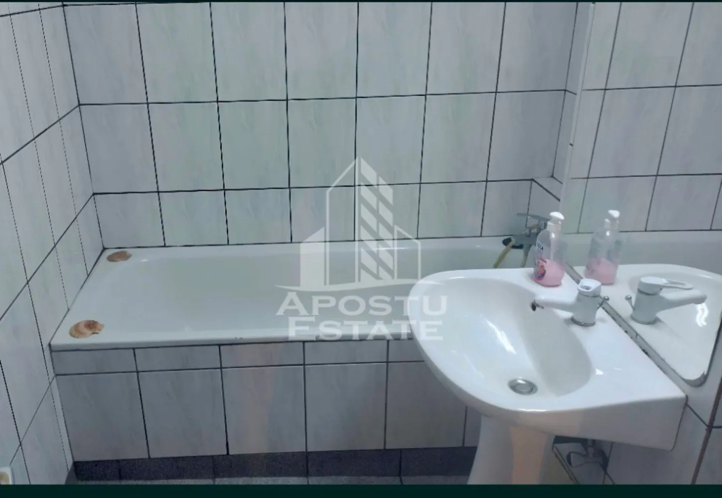 Apartament cu 3 camere , de inchiriat, Zona Bucovina , Timisoara