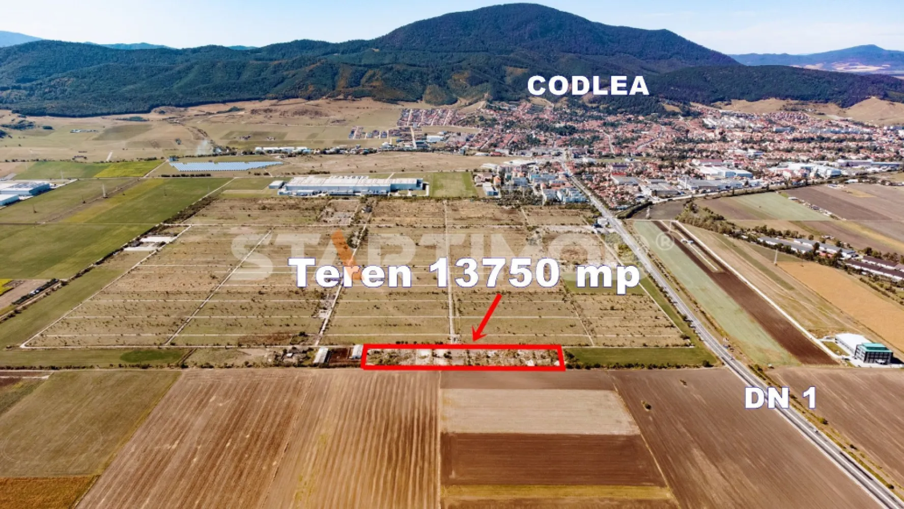 Teren Industrial Sere Codlea - STARTIMOB va propune spre achizitie, in sistem de Reprezentare Exclusiva si cu COMISION 0% din partea cumparatorului, un teren intravilan cu suprafata de 13.750 mp, situat in zona fostelor sere ale orasului Codlea, cu acces facil din DN1.

Proprietatea se incadreaza in categoria terenurilor cu destinatie industriala, si necesita PUZ . Terenul dispune de certificat de urbanism, iar parametrii urbanistici prevazuti permit un POT maxim de 60%, un CUT de pana la 1,8 si un regim de inaltime de maximum P+2, ceea ce ofera flexibilitate ridicata pentru dezvoltari de tip hale, spatii logistice, centre de productie sau depozitare.

Terenul se afla intr-o zona bine conturata din punct de vedere industrial, cu acces la infrastructura rutiera principala si la utilitati in proximitate. Drumurile adiacente sunt deja trasate, iar distanta redusa pana la DN1 garanteaza conectivitate excelenta cu Brasov, Ghimbav, Codlea si autostrada in constructie.

Forma regulata a terenului si urmele de fundatii existente pot reprezenta un avantaj in planificarea unei viitoare constructii. Prin pozitia sa strategica si suprafata generoasa, aceasta proprietate reprezinta o oportunitate solida pentru investitori sau dezvoltatori care urmaresc extinderea activitatii in zona metropolitana Brasov.

Pret vanzare 385.000 Euro (28 EUR/mp ) .

Proprietatea este detinuta de catre o: persoana juridica.

Detalii la nr. de telefon : 0767.500.400, persoana de contact - Marius Stoica.