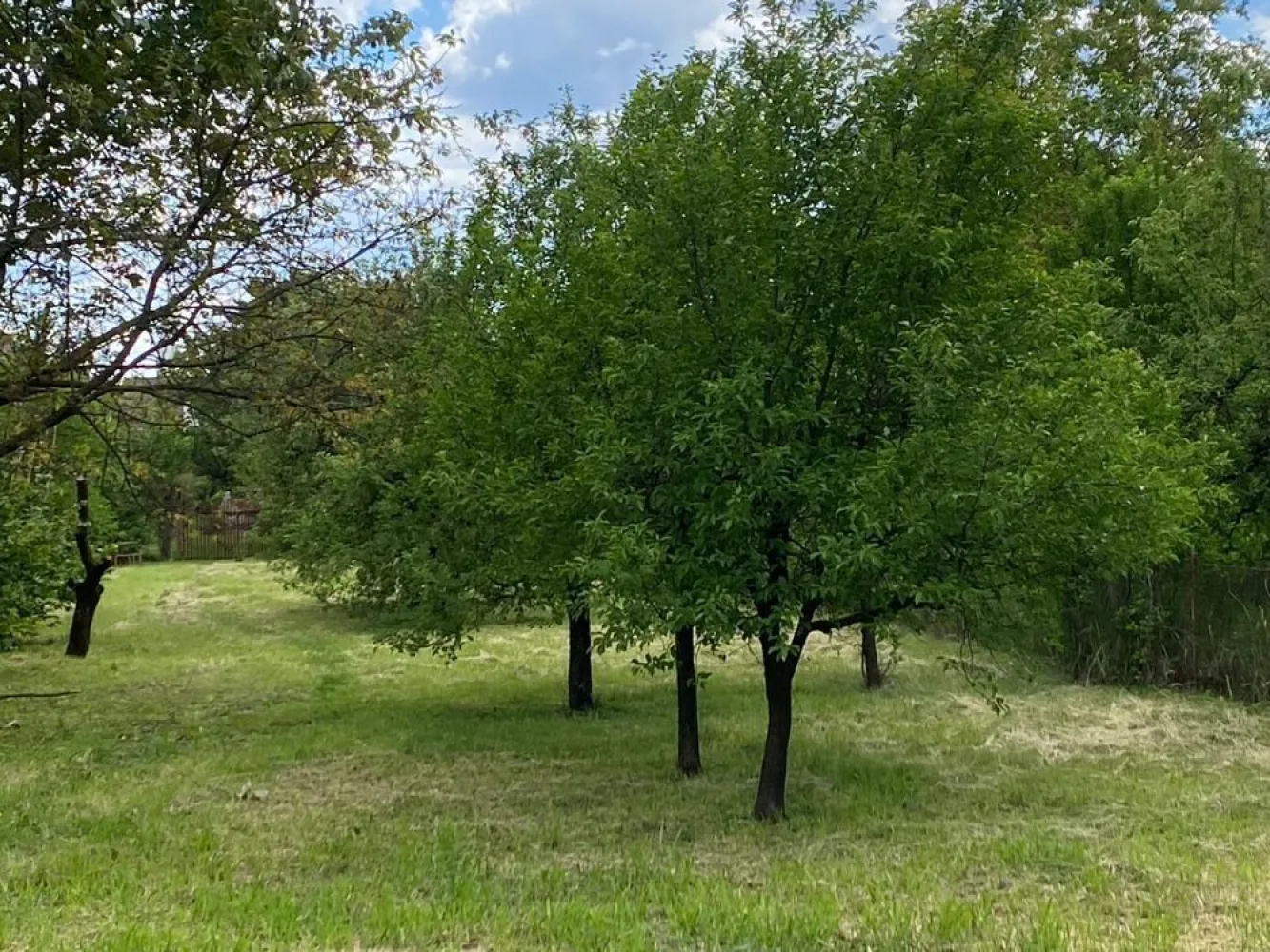 BRASADAS vinde casa cu 3 cam teren 17 ari zona Titulescu. - Agenția imobiliara BRASADAS vinde casa 92 mp. in zona Titulescu
Acoperis schimbat de 3 ani, casa izolata
Teren 17,33 ari
Www.brasadas.com.