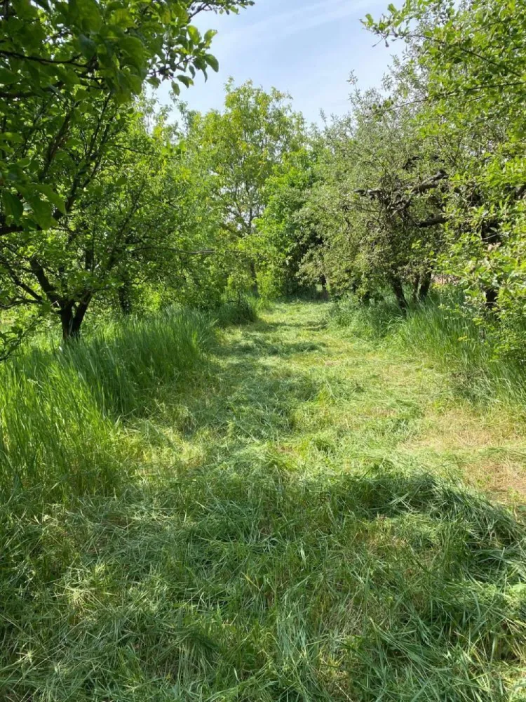 BRASADAS vinde casa cu 3 cam teren 17 ari zona Titulescu.