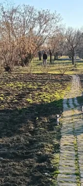 Mă vinde ușor și rapid!!!
