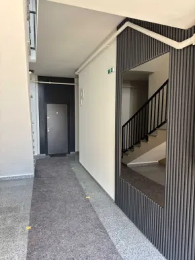 BRASADAS vinde ap 3 cam Careiului Nou 71MP.