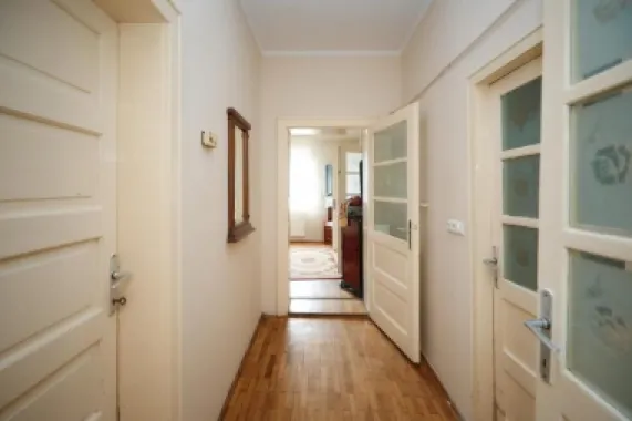 BRASADAS vinde casa individuala zona Careiului.