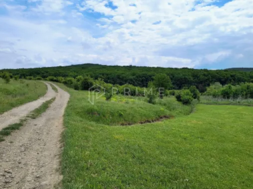 Oportunitate de investiție – 4 parcele în Corunca, 20 €/mp
