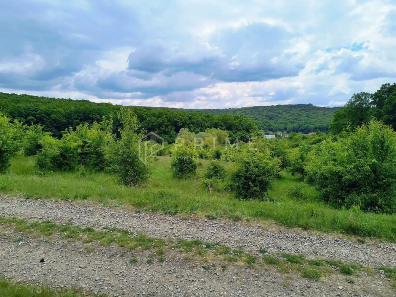 Oportunitate de investiție – 4 parcele în Corunca, 20 €/mp - Parcele de teren de vânzare – Corunca, zona Vatzman
Natură, panoramă și potențial excelent pentru investiție sau dezvoltare

Vă propunem spre vânzare 4 parcele de teren situate în Corunca, zona Vatzman, una dintre cele mai frumoase și apreciate zone din apropierea Târgu Mureșului. Proprietățile beneficiază de un cadru natural deosebit, cu panoramă superbă, apropiere de pădure și multă liniște, fiind ideale atât pentru investiție, cât și pentru dezvoltare rezidențială.

 Suprafață parcele: aproximativ 2.900 mp fiecare
 Configurație:

3 parcele sunt poziționate una lângă alta
1 parcelă este separată

💶 Preț: 20 €/mp

Avantaje competitive:
Zonă cu potențial ridicat de dezvoltare
Priveliște panoramică și apropiere de natură
Locație ideală pentru proiect rezidențial sau investiție pe termen lung
Acces facil către Târgu Mureș
Posibilitate de achiziție individuală sau împreună
Potrivit pentru:
Dezvoltatori imobiliari
Construcție case premium sau complex rezidențial
Investitori care caută teren într-o zonă în continuă dezvoltare
Proiecte turistice sau retreat în natură

🌲 Zona Vatzman oferă combinația perfectă între liniștea naturii și proximitatea față de oraș, fiind tot mai căutată pentru proiecte rezidențiale moderne.

📞 Pentru detalii suplimentare sau pentru programarea unei vizionări, vă invităm să ne contactați!

Promisiunea Prime Properties:
Vă oferim siguranță, transparență și servicii impecabile pe tot parcursul drumului către casa ideală. Dacă această proprietate nu corespunde nevoilor dumneavoastră, lăsați-ne să găsim alternativa potrivită stilului dumneavoastră de viață.

Pentru informații suplimentare și programarea unei vizionări, vă rugăm să ne contactați.