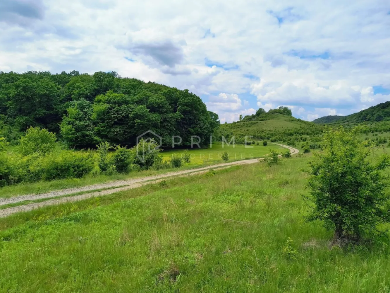 Oportunitate de investiție – 4 parcele în Corunca, 20 €/mp - Parcele de teren de vânzare – Corunca, zona Vatzman
Natură, panoramă și potențial excelent pentru investiție sau dezvoltare

Vă propunem spre vânzare 4 parcele de teren situate în Corunca, zona Vatzman, una dintre cele mai frumoase și apreciate zone din apropierea Târgu Mureșului. Proprietățile beneficiază de un cadru natural deosebit, cu panoramă superbă, apropiere de pădure și multă liniște, fiind ideale atât pentru investiție, cât și pentru dezvoltare rezidențială.

 Suprafață parcele: aproximativ 2.900 mp fiecare
 Configurație:

3 parcele sunt poziționate una lângă alta
1 parcelă este separată

💶 Preț: 20 €/mp

Avantaje competitive:
Zonă cu potențial ridicat de dezvoltare
Priveliște panoramică și apropiere de natură
Locație ideală pentru proiect rezidențial sau investiție pe termen lung
Acces facil către Târgu Mureș
Posibilitate de achiziție individuală sau împreună
Potrivit pentru:
Dezvoltatori imobiliari
Construcție case premium sau complex rezidențial
Investitori care caută teren într-o zonă în continuă dezvoltare
Proiecte turistice sau retreat în natură

🌲 Zona Vatzman oferă combinația perfectă între liniștea naturii și proximitatea față de oraș, fiind tot mai căutată pentru proiecte rezidențiale moderne.

📞 Pentru detalii suplimentare sau pentru programarea unei vizionări, vă invităm să ne contactați!

Promisiunea Prime Properties:
Vă oferim siguranță, transparență și servicii impecabile pe tot parcursul drumului către casa ideală. Dacă această proprietate nu corespunde nevoilor dumneavoastră, lăsați-ne să găsim alternativa potrivită stilului dumneavoastră de viață.

Pentru informații suplimentare și programarea unei vizionări, vă rugăm să ne contactați.