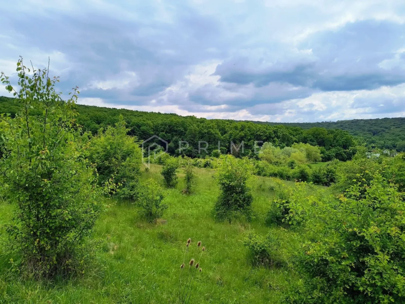 Oportunitate de investiție – 4 parcele în Corunca, 20 €/mp - Parcele de teren de vânzare – Corunca, zona Vatzman
Natură, panoramă și potențial excelent pentru investiție sau dezvoltare

Vă propunem spre vânzare 4 parcele de teren situate în Corunca, zona Vatzman, una dintre cele mai frumoase și apreciate zone din apropierea Târgu Mureșului. Proprietățile beneficiază de un cadru natural deosebit, cu panoramă superbă, apropiere de pădure și multă liniște, fiind ideale atât pentru investiție, cât și pentru dezvoltare rezidențială.

 Suprafață parcele: aproximativ 2.900 mp fiecare
 Configurație:

3 parcele sunt poziționate una lângă alta
1 parcelă este separată

💶 Preț: 20 €/mp

Avantaje competitive:
Zonă cu potențial ridicat de dezvoltare
Priveliște panoramică și apropiere de natură
Locație ideală pentru proiect rezidențial sau investiție pe termen lung
Acces facil către Târgu Mureș
Posibilitate de achiziție individuală sau împreună
Potrivit pentru:
Dezvoltatori imobiliari
Construcție case premium sau complex rezidențial
Investitori care caută teren într-o zonă în continuă dezvoltare
Proiecte turistice sau retreat în natură

🌲 Zona Vatzman oferă combinația perfectă între liniștea naturii și proximitatea față de oraș, fiind tot mai căutată pentru proiecte rezidențiale moderne.

📞 Pentru detalii suplimentare sau pentru programarea unei vizionări, vă invităm să ne contactați!

Promisiunea Prime Properties:
Vă oferim siguranță, transparență și servicii impecabile pe tot parcursul drumului către casa ideală. Dacă această proprietate nu corespunde nevoilor dumneavoastră, lăsați-ne să găsim alternativa potrivită stilului dumneavoastră de viață.

Pentru informații suplimentare și programarea unei vizionări, vă rugăm să ne contactați.