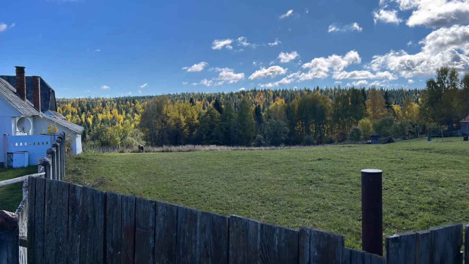 Refugiu in Apuseni-teren intravilan cu padure si priveliste -9403mp - Refugiu privat în inima Apusenilor.Proprietate rară în Călățele Pădure: teren intravilan cu pădure și panoramă amplă asupra naturii, într-o zonă cu liniște autentică și acces facil.Loc ideal pentru dezvoltarea unei cabane premium, a unui retreat boutique sau a unei proprietăți de vacanță pentru cei care caută intimitate, natură și priveliști spectaculoase.Acces rapid din drum asfaltat, utilități în apropiere, cadru natural excepțional.Un loc cu adevărat special, greu de replicat.N.B. Vanzatorul este persoana fizica.