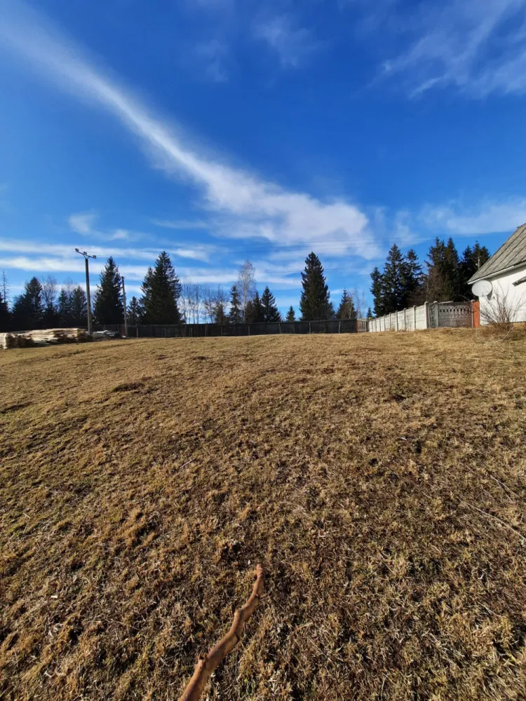 Refugiu in Apuseni-teren intravilan cu padure si priveliste -9403mp - Refugiu privat în inima Apusenilor.Proprietate rară în Călățele Pădure: teren intravilan cu pădure și panoramă amplă asupra naturii, într-o zonă cu liniște autentică și acces facil.Loc ideal pentru dezvoltarea unei cabane premium, a unui retreat boutique sau a unei proprietăți de vacanță pentru cei care caută intimitate, natură și priveliști spectaculoase.Acces rapid din drum asfaltat, utilități în apropiere, cadru natural excepțional.Un loc cu adevărat special, greu de replicat.N.B. Vanzatorul este persoana fizica.